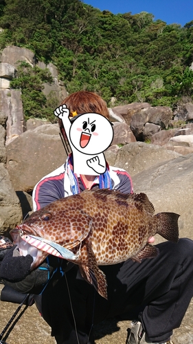 オオモンハタの釣果