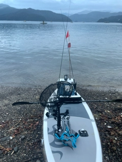 コチの釣果