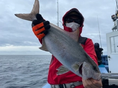 ショゴの釣果