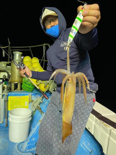 スルメイカの釣果