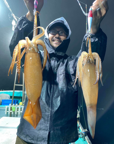 イカの釣果