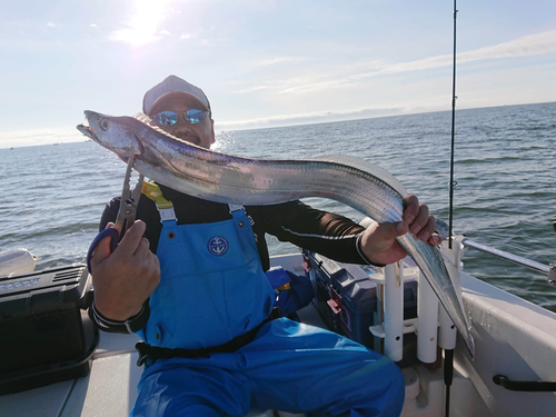 タチウオの釣果