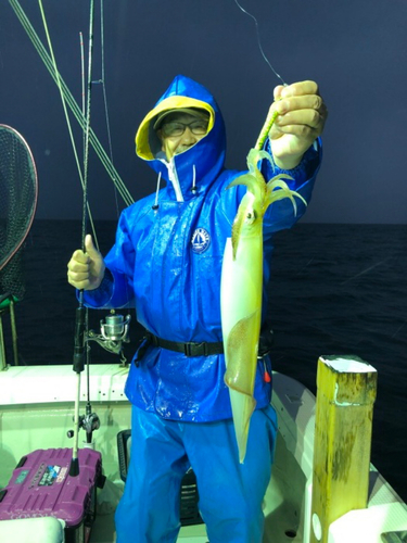 ケンサキイカの釣果