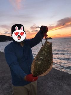 ヒラメの釣果