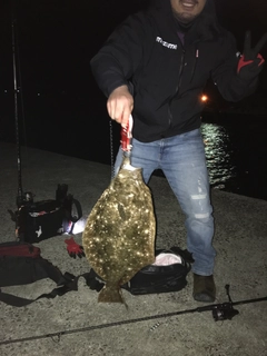 ヒラメの釣果