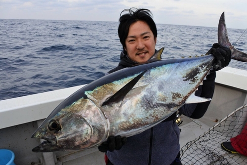 クロマグロの釣果