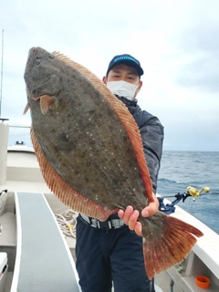 ヒラメの釣果