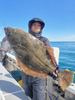 ヒラメの釣果