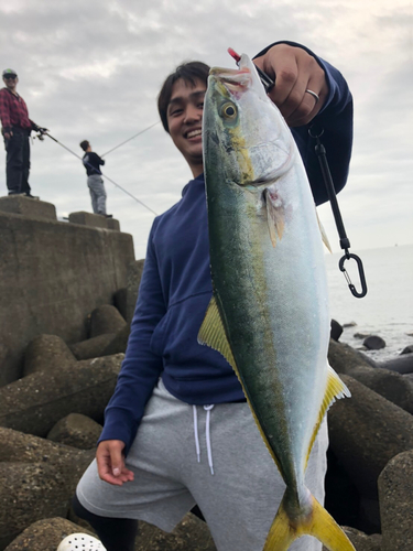 イナダの釣果