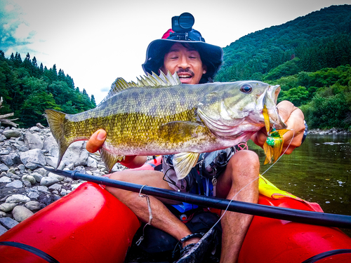 スモールマウスバスの釣果