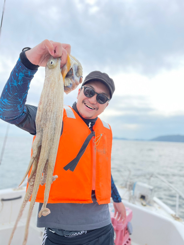 マダコの釣果