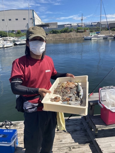 タコの釣果