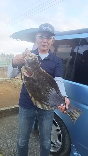 ヒラメの釣果