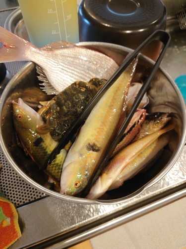 釣果