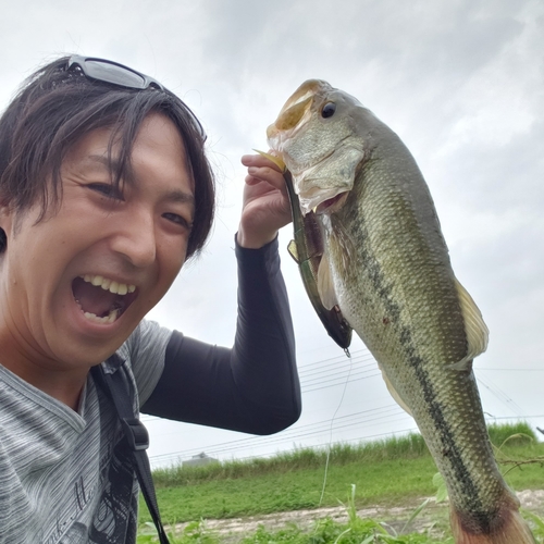 ラージマウスバスの釣果