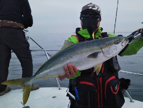 イナダの釣果