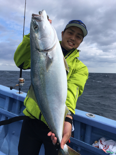 ワラサの釣果