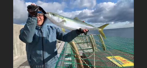 メジロの釣果