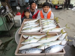 イナダの釣果