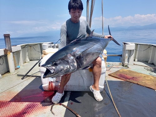 クロマグロの釣果