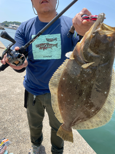 ヒラメの釣果