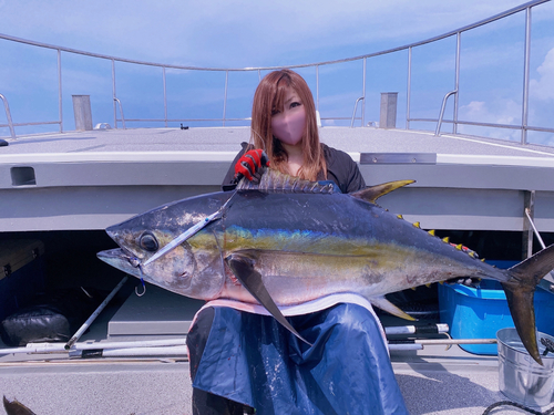 メバチマグロの釣果