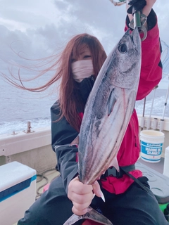 カツオの釣果