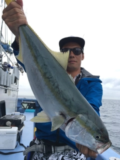 イナダの釣果