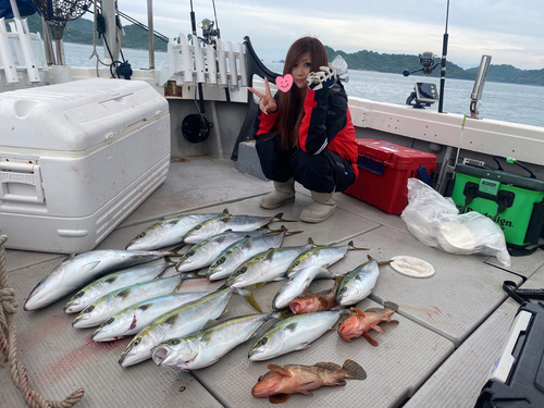 メジロの釣果