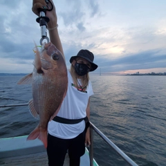 タイの釣果