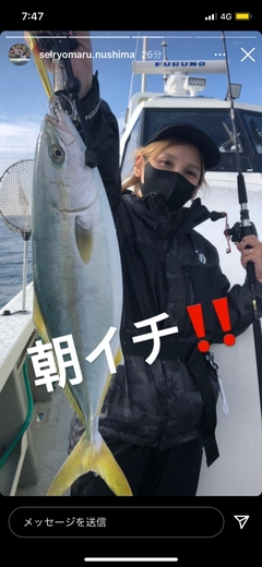 ハマチの釣果