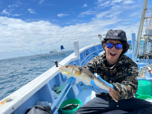 ショウサイフグの釣果