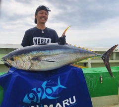 キハダマグロの釣果