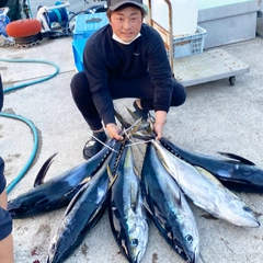 キハダマグロの釣果