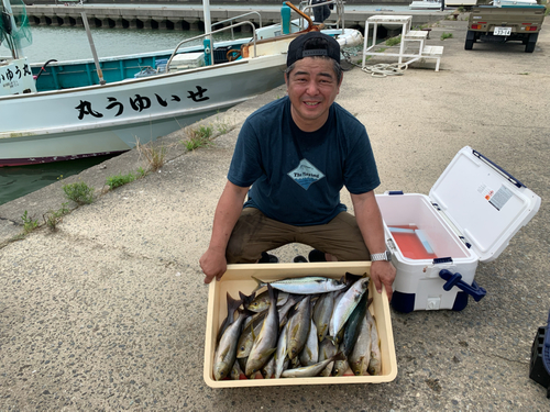 イサキの釣果