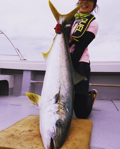 ヒラマサの釣果