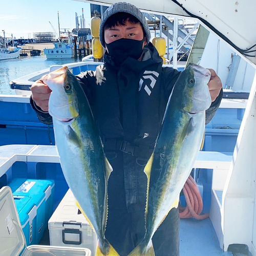 ワラサの釣果