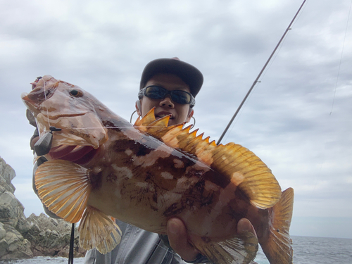 アラの釣果