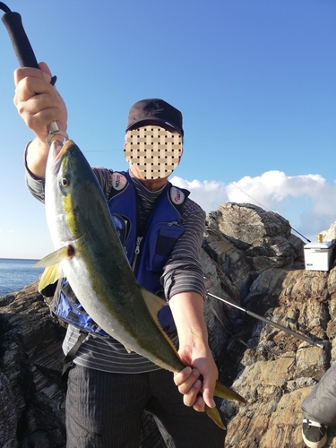 メジロの釣果