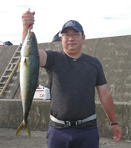 メジロの釣果