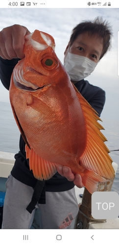 チカメキントキの釣果