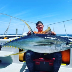 キハダマグロの釣果