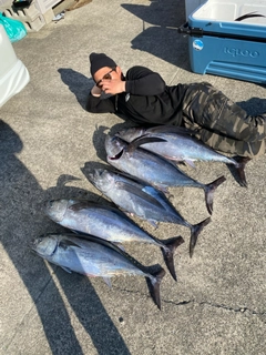 ビンチョウマグロの釣果