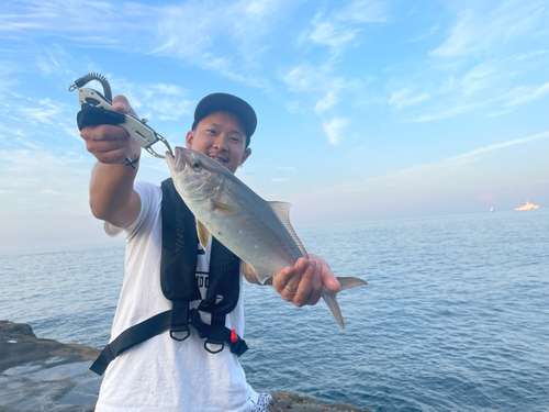 ショゴの釣果