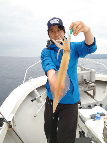 シロイカの釣果