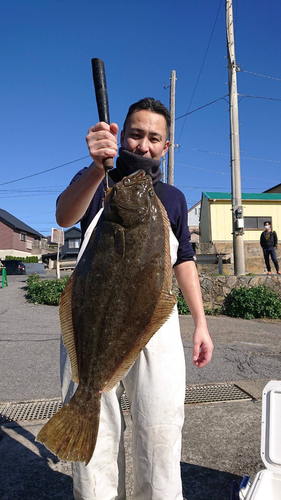 ヒラメの釣果