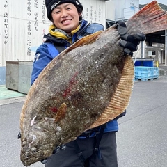 ヒラメの釣果