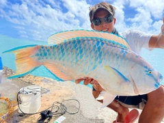 ヒブダイの釣果