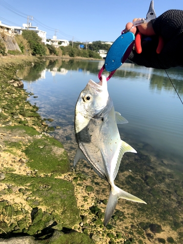 釣果