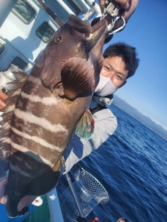 マハタの釣果